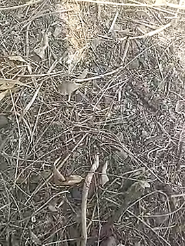 Cute Boy 4 online show from March 2026 07:45:01 AM