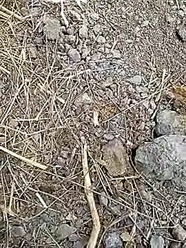 Cute Boy 4 online show from April 2026 07:32:02 AM