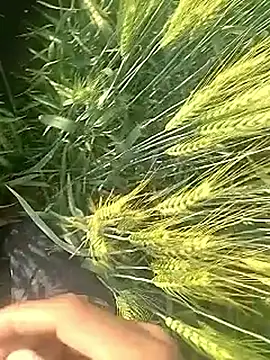 Snapshot of Cute_Boy_4 chatting on February 2026 03:27:01 AM Cute Boy 4 online show from February 2026 03:27:01 AM