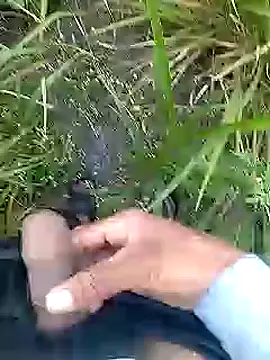 Cute Boy 4 online show from April 2026 02:41:01 AM