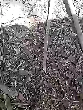 Cute Boy 4 online show from April 2026 08:20:02 AM