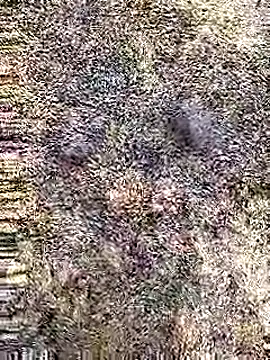 Cute Boy 4 online show from April 2026 07:23:01 AM