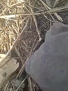 Cute Boy 4 online show from March 2026 09:58:01 AM