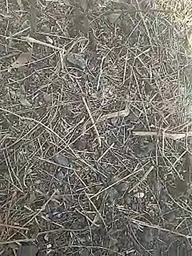 Cute Boy 4 online show from March 2026 07:44:01 AM