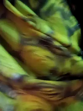 Snapshot of Muskan44s chatting on February 2026 12:24:02 PM Muskan44s online show from February 2026 12:24:02 PM