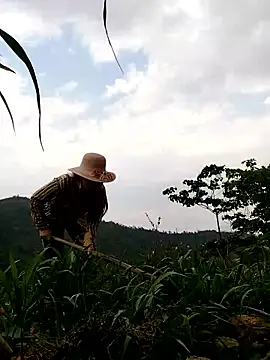 Tina-beo online show from April 2026 08:10:02 AM