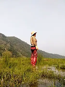 Tina-beo online show from April 2026 09:27:02 AM