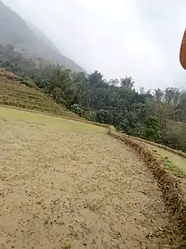 Tina-beo online show from March 2026 02:23:01 AM