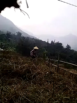 Tina-beo online show from March 2026 09:43:02 AM