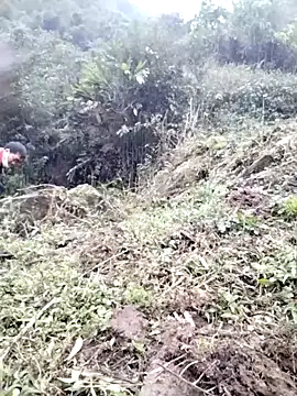 Tina-beo online show from March 2026 01:10:01 AM