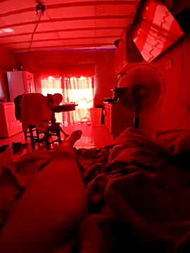 elvergon23139 online show from February 2026 02:15:01 PM