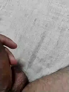 homem-amador online show from February 2026 04:06:01 PM