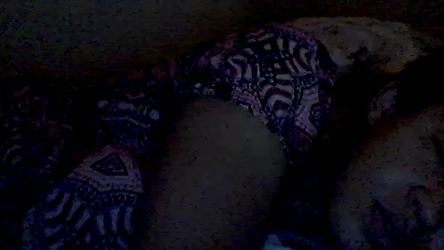 lorraine2036 online show from February 2026 02:58:02 PM