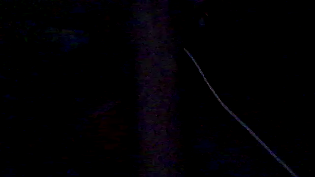 lorraine2036 online show from February 2026 11:32:02 AM