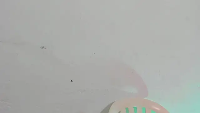 Emely pregnantt online show from February 2026 04:07:02 PM