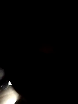 tamilpaiyan989 online show from April 2026 04:43:02 PM