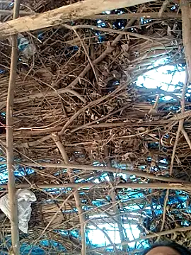 Rajni248096 online show from March 2026 07:56:02 AM