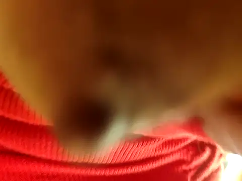 Brissperu18 online show from February 2026 09:09:01 AM