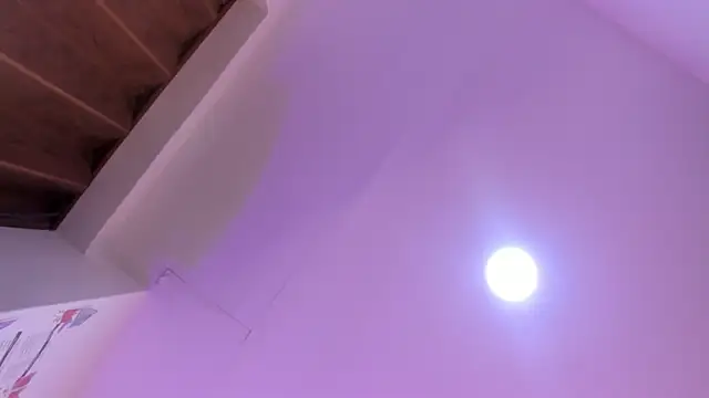 Paris Velvet online show from April 2026 10:33:02 PM