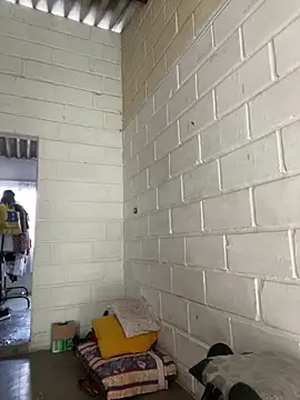 jeyko jey online show from February 2026 08:20:01 PM