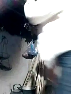 maimai1100 online show from February 2026 12:07:02 AM