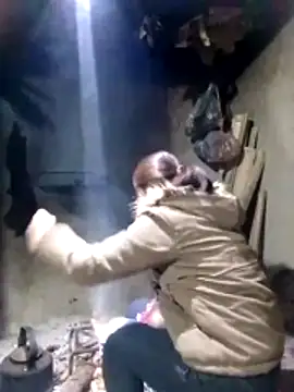 maimai1100 online show from February 2026 12:43:02 AM