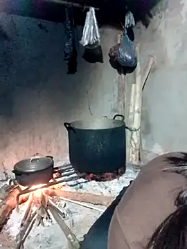 maimai1100 online show from March 2026 09:49:02 PM