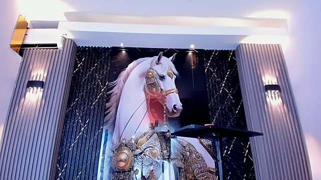 the knights of the night online show from February 2026 06:40:02 PM