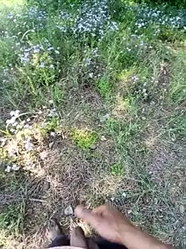 Sharmasamba online show from March 2026 05:29:02 AM