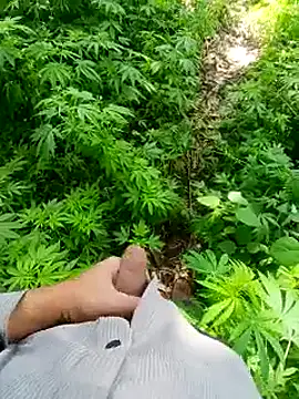 Sharmasamba online show from March 2026 06:13:02 AM