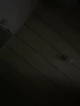 Youyou 12 online show from March 2026 12:57:01 PM