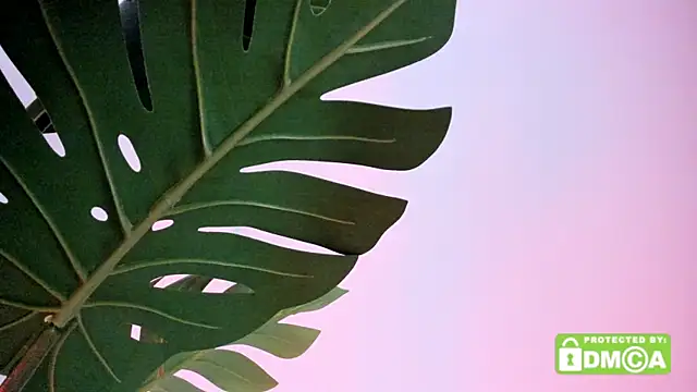 lovesweetash online show from April 2026 02:21:02 PM