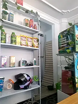 Tatianna Loove  online show from March 2026 02:56:02 PM