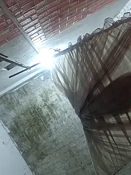 Mey mey2k3 online show from February 2026 02:58:02 AM