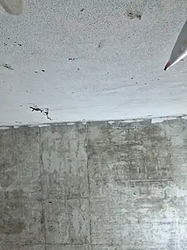 Mey mey2k3 online show from March 2026 02:23:02 AM