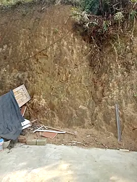 sushi-asa online show from April 2026 01:56:01 AM