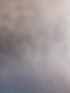 sushi-asa online show from March 2026 06:49:02 AM