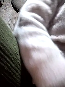 Bella-222 online show from March 2026 01:12:02 PM