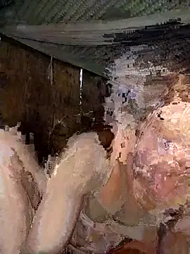 Bella-222 online show from March 2026 07:15:01 AM