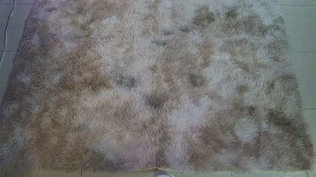 Ladyy brownn online show from March 2026 11:32:02 AM