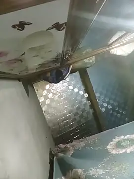 Dunk-namic online show from April 2026 03:17:01 PM