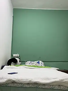 DavShi online show from February 2026 10:31:02 PM