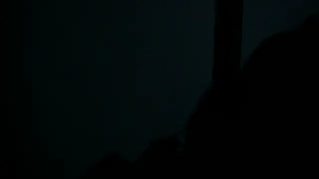 SussyFox online show from March 2026 02:31:02 PM