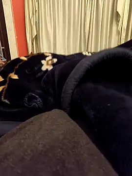 rubitrides11 online show from February 2026 07:47:02 PM