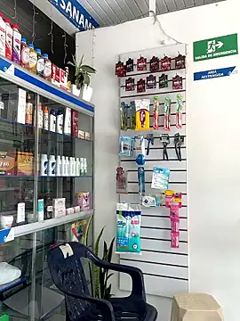 EvaLuna25 online show from February 2026 03:30:02 PM