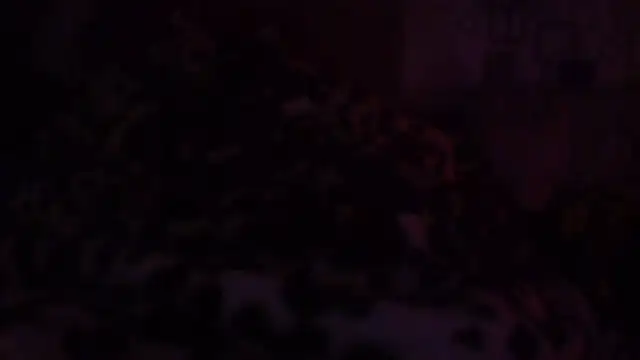 bialoba7 online show from June 2026 03:39:01 PM