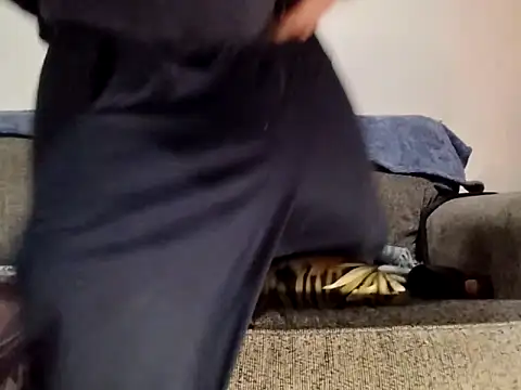 AERIALCLOVER online show from February 2026 12:17:01 PM