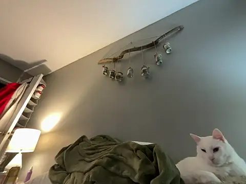 Snapshot of Sexysanka chatting on February 2026 01:01:02 AM Sexysanka online show from February 2026 01:01:02 AM