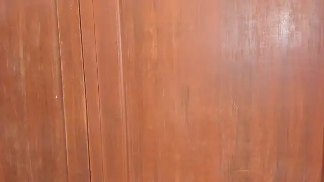 Snapshot of Sophiia88 chatting on February 2026 12:01:02 PM Sophiia88 online show from February 2026 12:01:02 PM