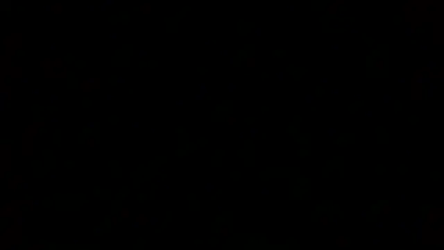 Snapshot of Luanatrav1 chatting on March 2026 09:46:02 AM Luanatrav1 online show from March 2026 09:46:02 AM